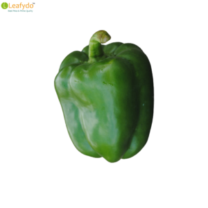 हरी शिमला मिर्च/ Hari Shimla Mirch/ Green Capsicum (500 Gram)