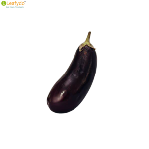 बैंगन/ Baigan/ Brinjal