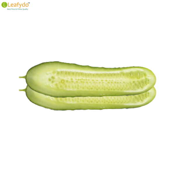 खीरा ( हरा ) / Kheera (Hara) /Cucumber (Green) (500 Gram) - Image 2