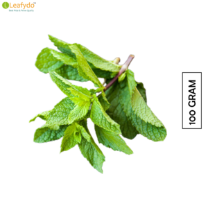 पुदीना/Pudina/Mint Leaves (100 Gram)