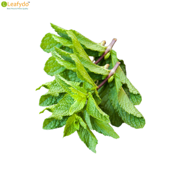 पुदीना/Pudina/Mint Leaves (100 Gram) - Image 2