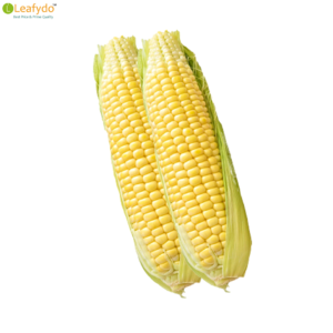 भुट्टा/Bhutta/Sweet Corn (240-270 Gram)