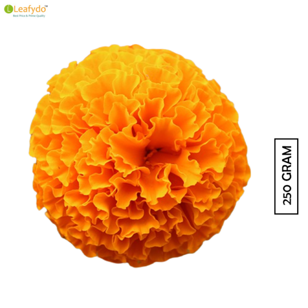 Marigold Orange