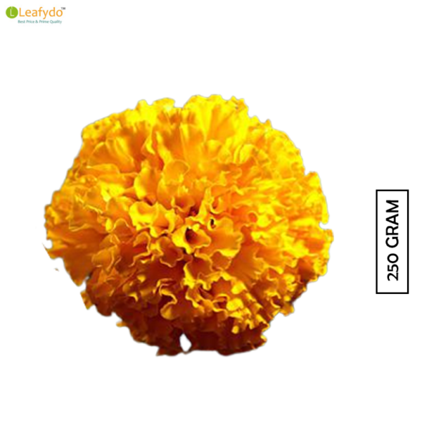 Marigold Yellow (Lower rates expected )