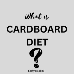 Read more about the article What is Cardboard Diet & is it Healthy? 