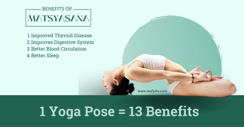 Various Yoga Poses and the Benefits - Ashtanga, Vinyasa, Hatha