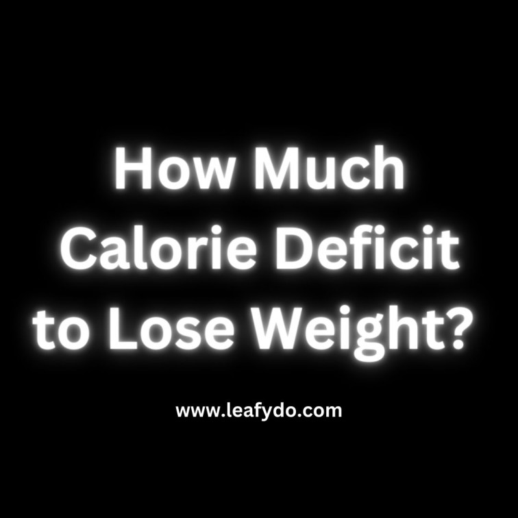 You are currently viewing How Much Calorie Deficit to Lose Weight? (Explained)