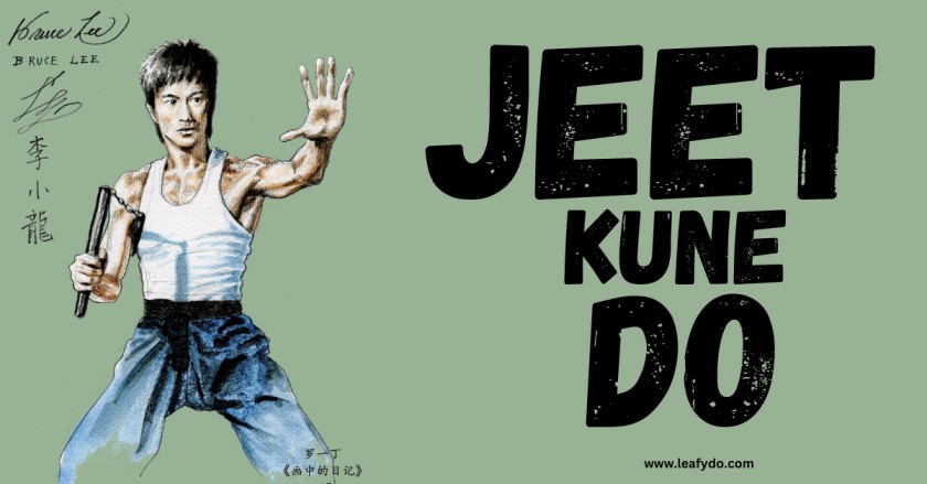 jeet kune do is best martial arts to defend in streets