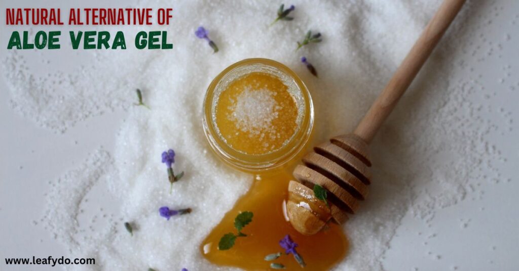 natural alternative of aloe vera gel