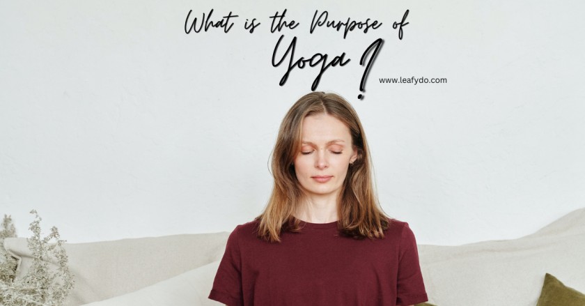 What is the Purpose of yoga