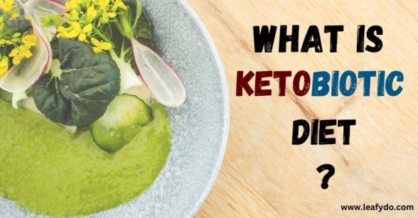 what is ketobiotic diet