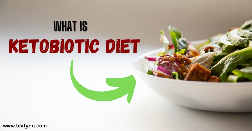 Read more about the article What is Ketobiotic Diet? Is it better than Ketogenic Diet?