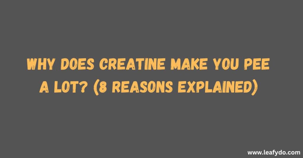 Does creatine make you pee a lot 8 reasons explained