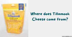 Read more about the article Where does Tillamook Cheese come from? Tracing its Beginnings!