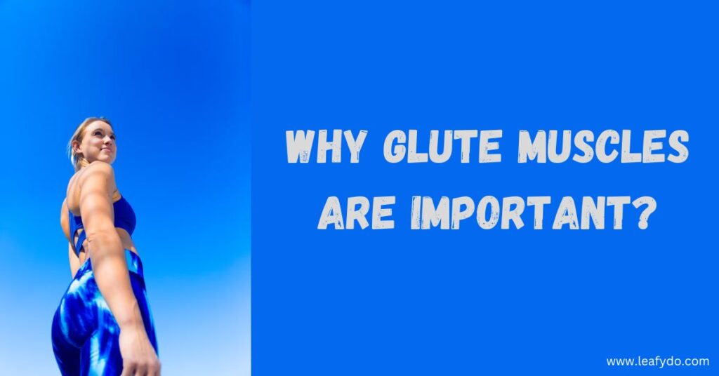 why glute muscles are important