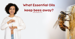 Read more about the article What essential oils keep bees away?