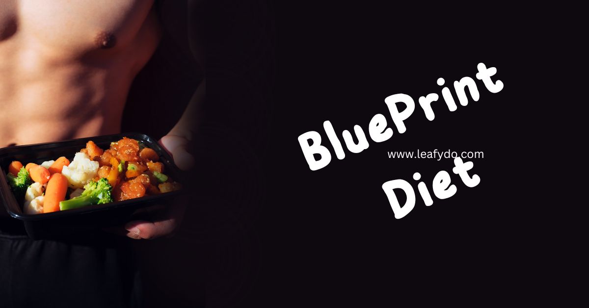 Read more about the article Blueprint diet: Recipe, Benefits & More