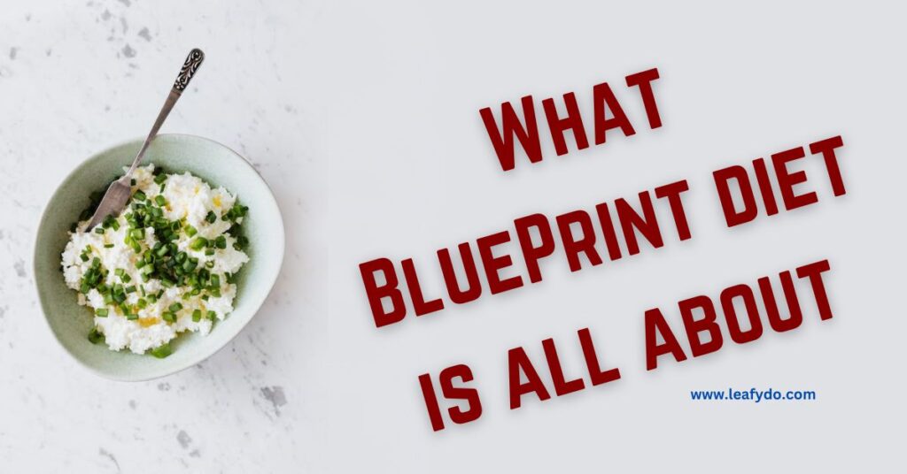 what is blueprint diet