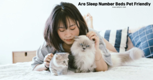 Read more about the article Are Sleep Number Beds Pet Friendly?