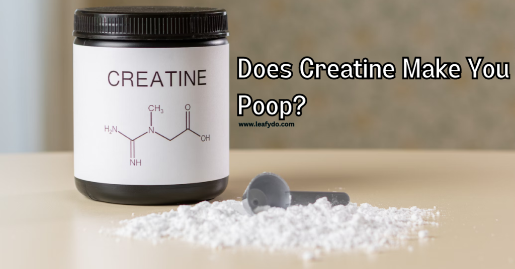 Does Creatine Make You Poop