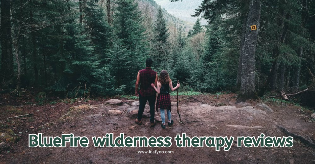 BlueFire wilderness therapy reviews