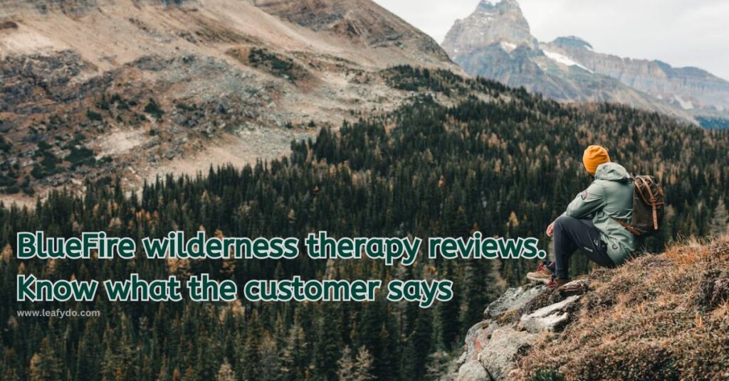 BlueFire wilderness therapy reviews (Customer Testimonials)