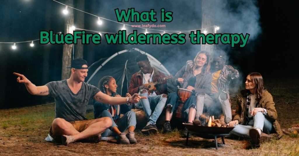 What is BlueFire Wilderness Therapy