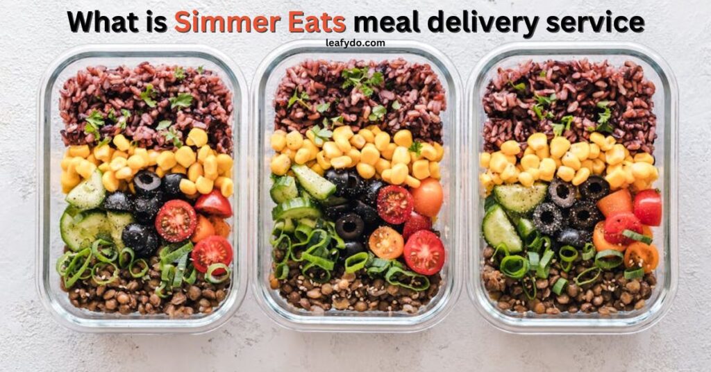 what is simmer eats and all about their meal delivery services