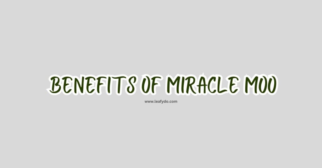 benefits of miracle moo