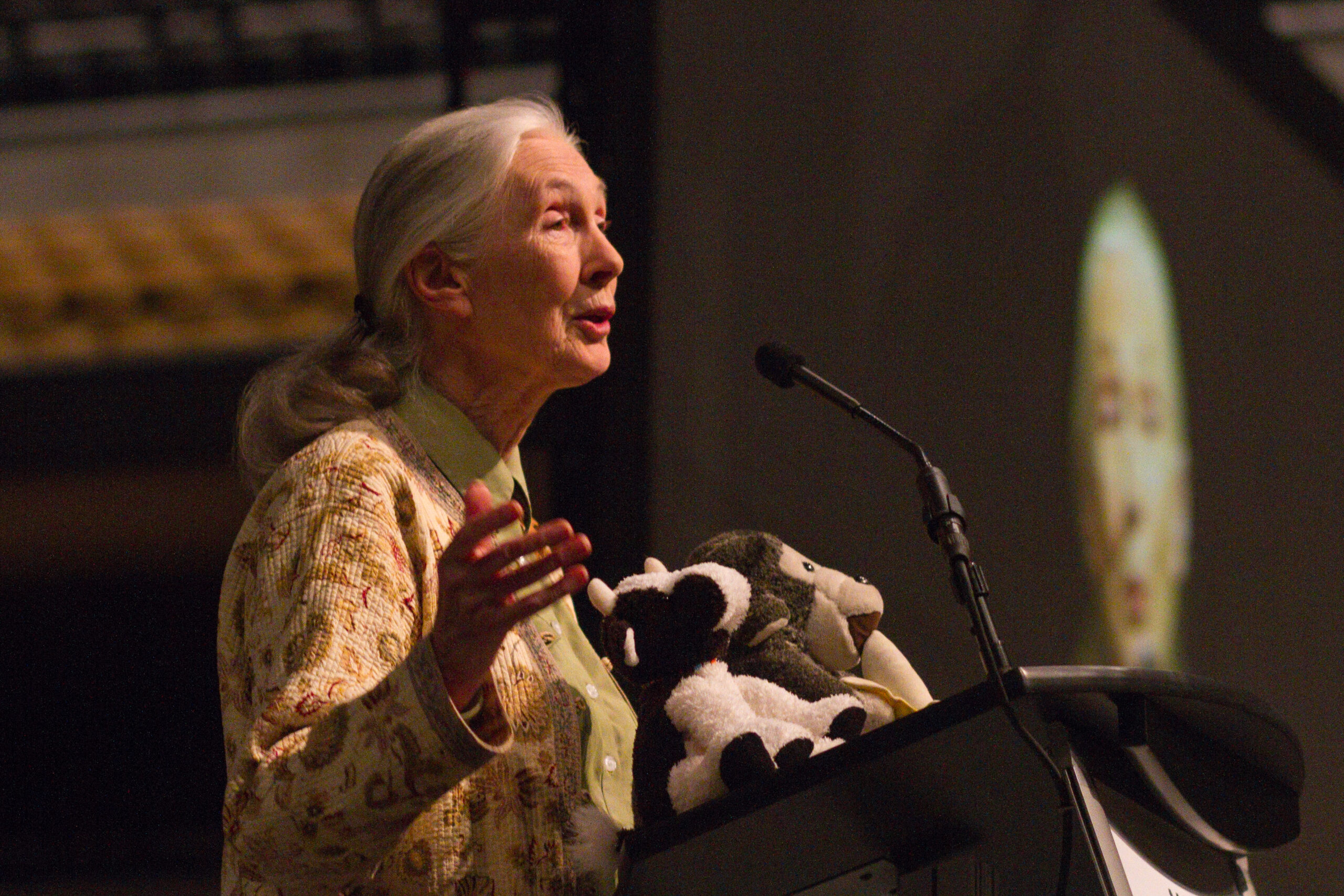 Read more about the article Jane Goodall Shared 10 Life-Changing Lessons on 90th Birthday. 