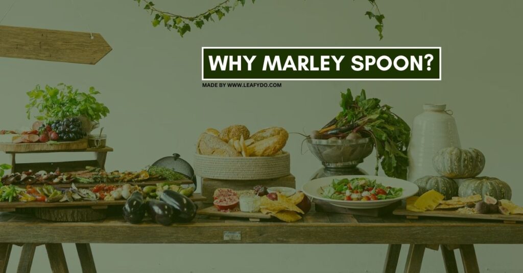 reasons why to choose marley spoon meal delivery service over its competitors