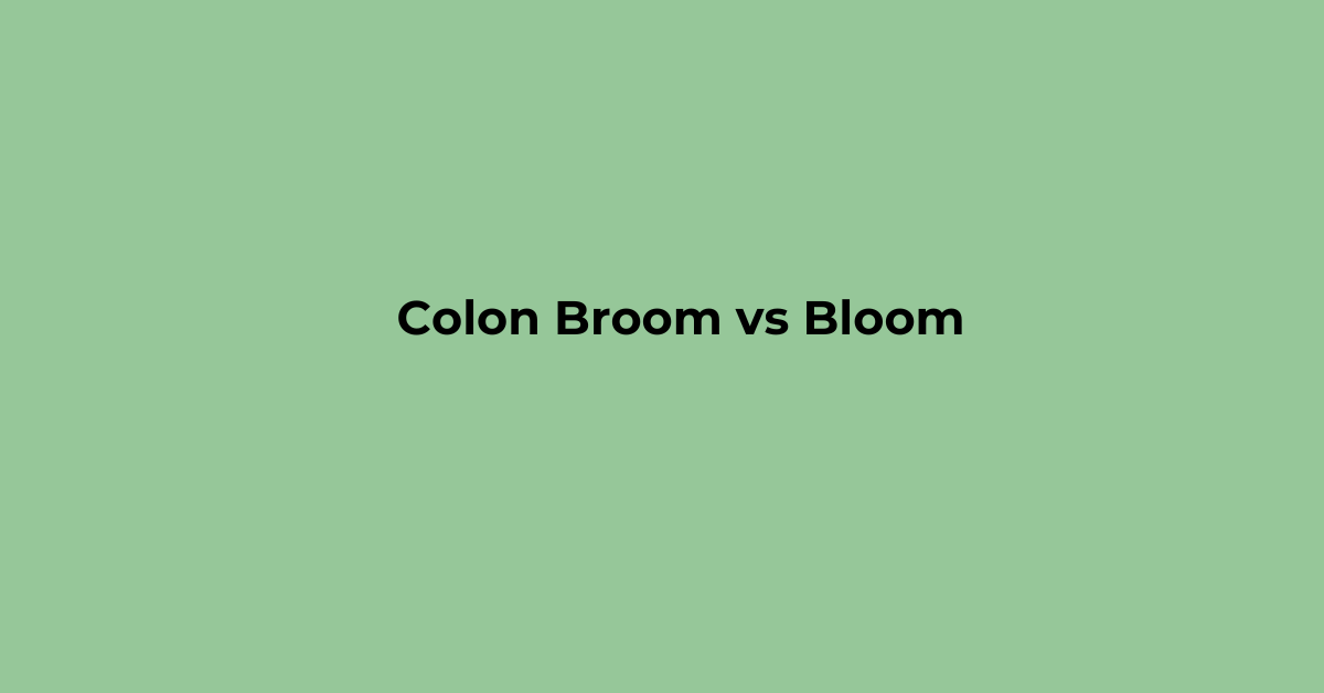 Read more about the article Colon Broom vs Bloom. Which is good for Digestion?