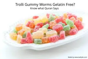 Trolli Gummy Worms Gelatin Free